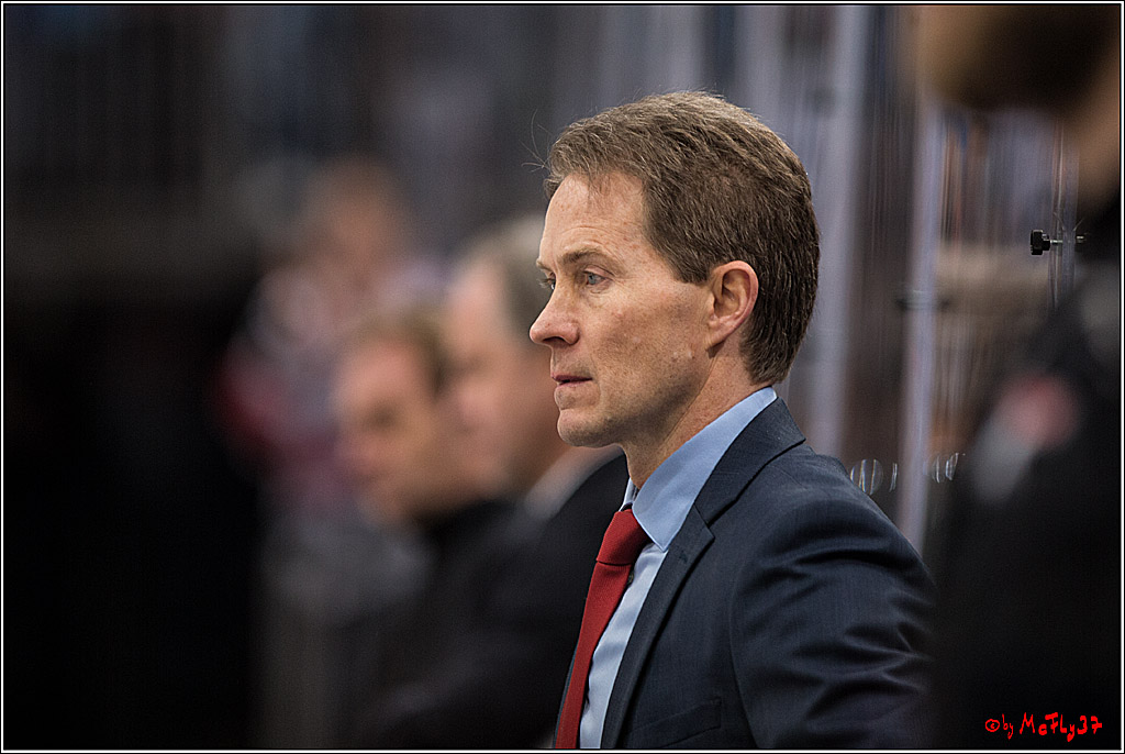 Koelner Haie - Eisbaeren Berlin, 13.11.2016